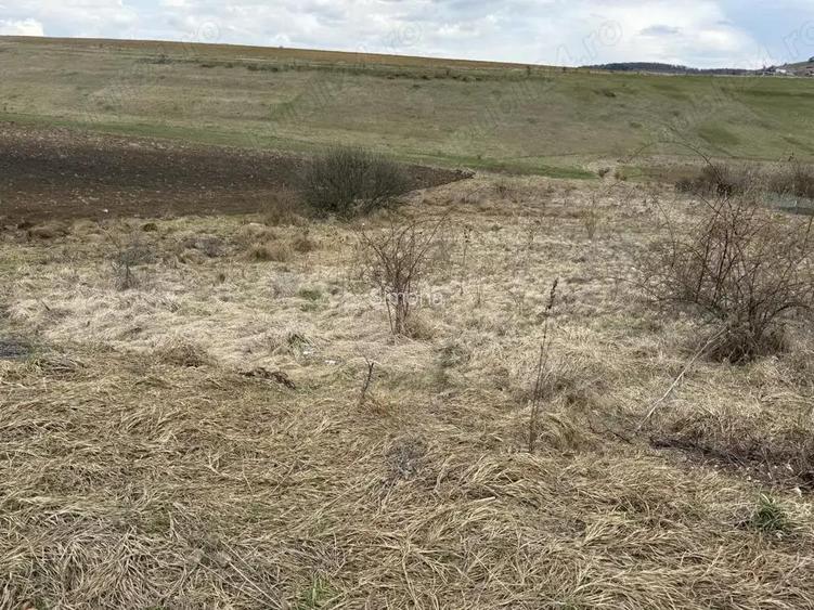 Teren intravilan in Salicea!-zona de case noi