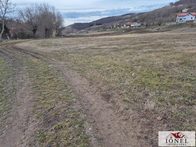 Vanzare 6336 mp teren parcelabil in Ciugud - Hapria - 4