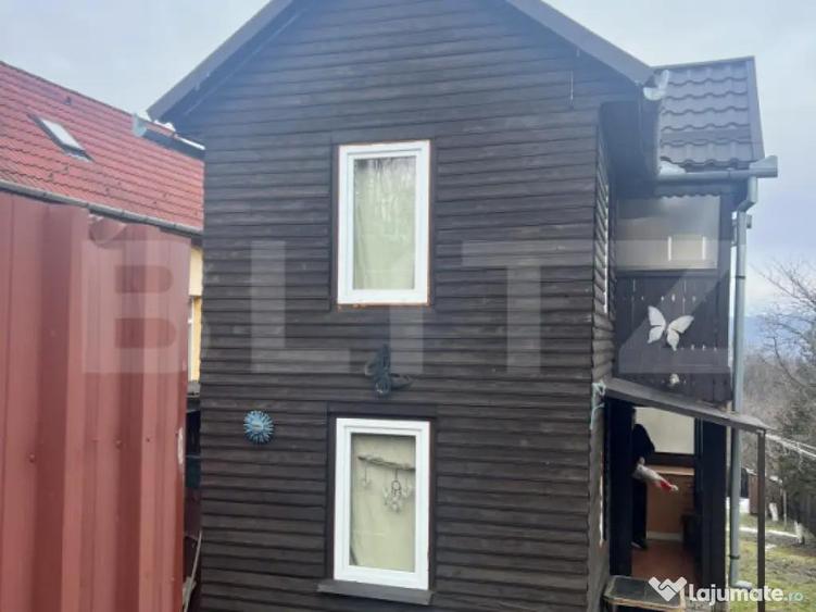 Cabana de lemn- Vatmani - 1