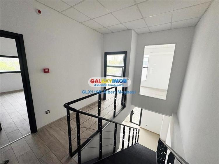 Vanzare Spatiu Depozitare/Hala Centura-Mogosoaia - 10