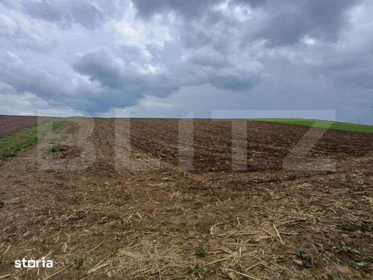 Teren de 5000 mp, în Bosanci