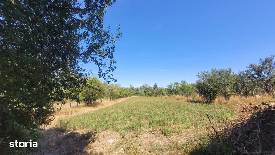 Casă cu 3 camere cu Teren 4741 Mp în Culciu