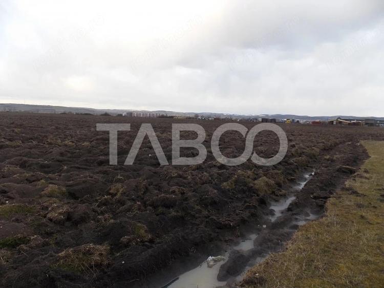 Teren de 10000 mp, în Vest