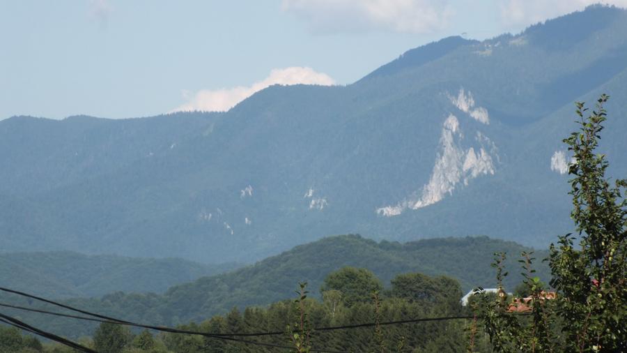 Teren Construcții intravilan de 1364 mp, în Bran