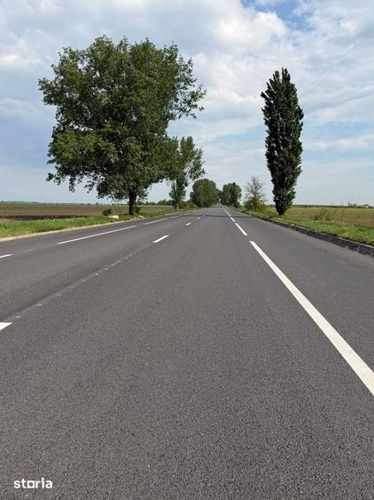 Teren de 27000 mp, în Săucești