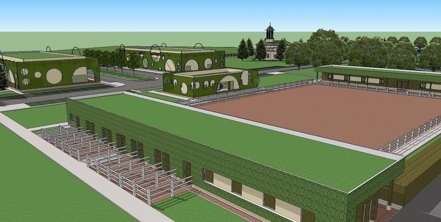 Teren Construcții intravilan de 49000 mp, în Cornești