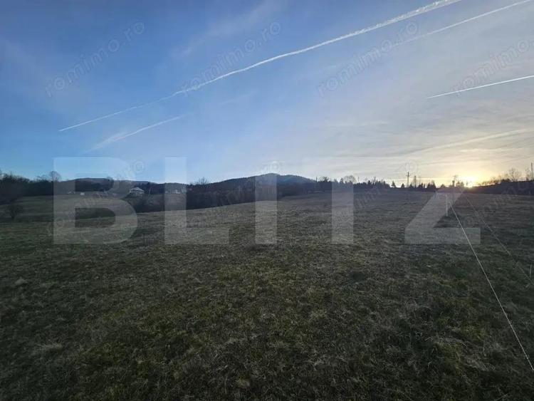 Teren intravilan de 16667 mp, Sosea de Centura, Abrud - 4