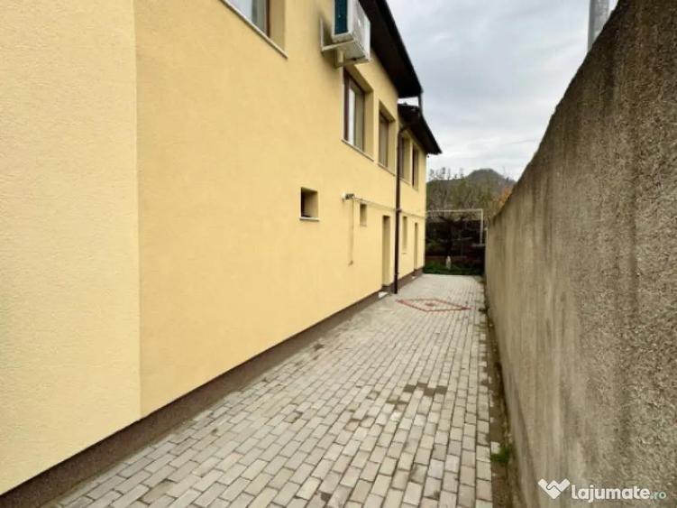 CASA DE VIS SAU AFACERE DE SUCCES BAIA SPRIE - 1