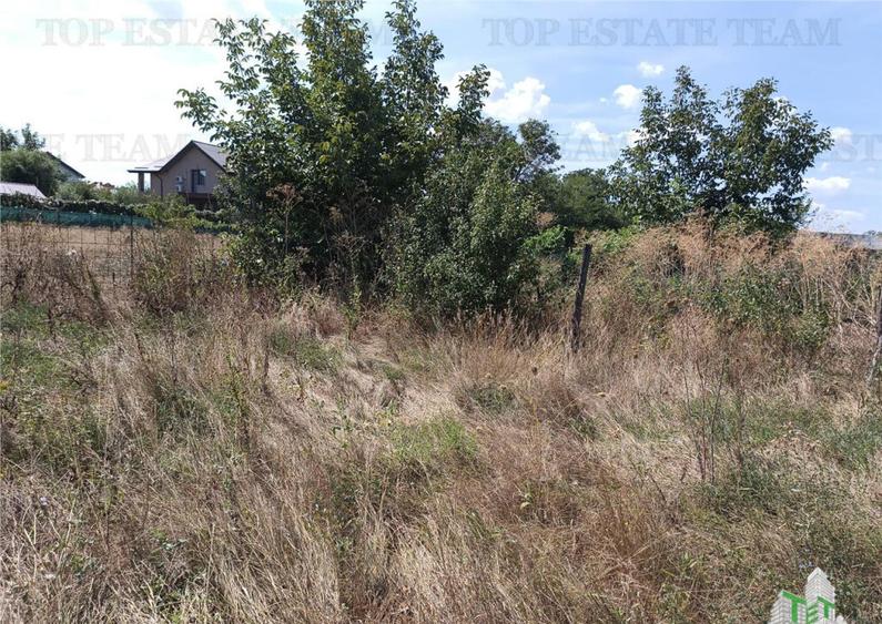 Teren intravilan in localitatea Cornetu cu deschidere mare, - 6