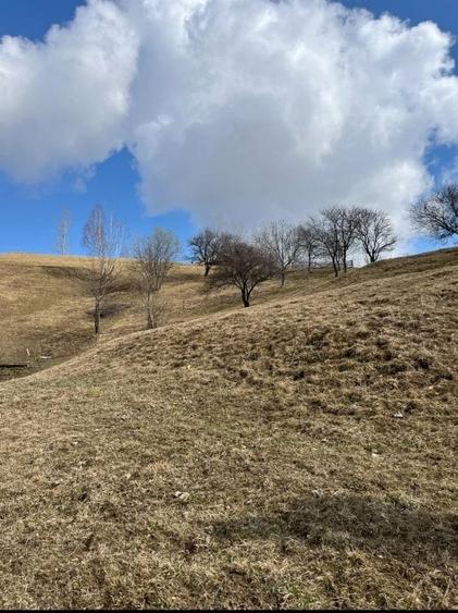Vanzare Teren cu Punct de Belvedere in Moieciu zona Magura-Pestera - 11