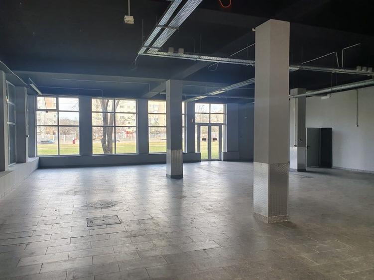 Spatiu comercial Nicolina - 7