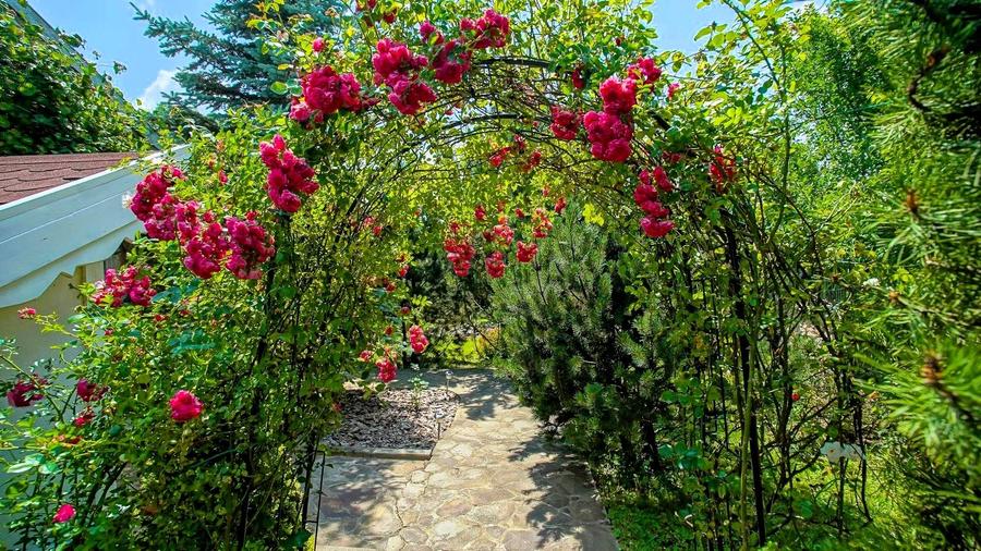 Proprietate unică pe malul lacului Moacșa – liniște, rafinament, eleganta - 54