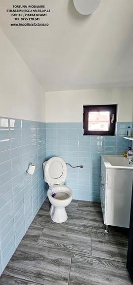 Proprietate moderna,multifunctionala,cu trafic auto si pietonal,Piatra Neamt - 11