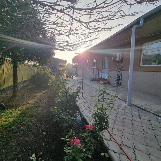 Pipera | Gradina | Iesire la lac | Terasa - 1