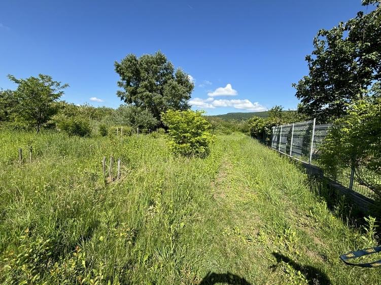 Teren Construcții intravilan de 2170 mp, în Bujoreni