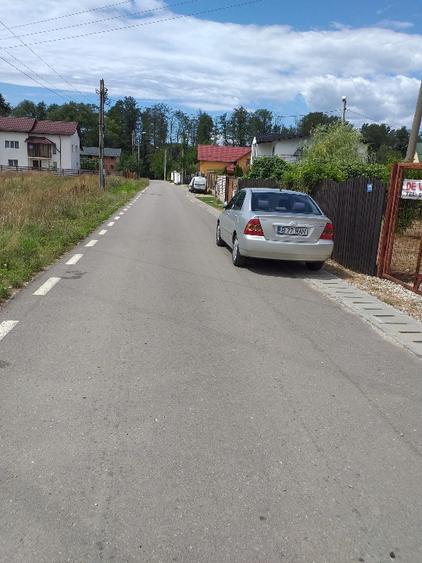 Vand 5000 mp teren intravilan +Casa vacanta - 1