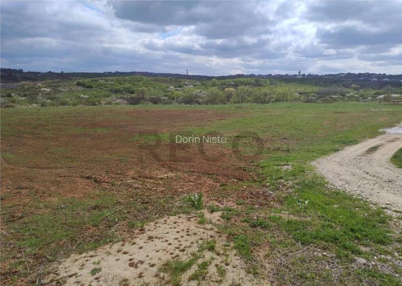 RECO Teren intravilan, Paleu