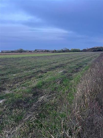 Teren frumos Cihei 500 mp - 1