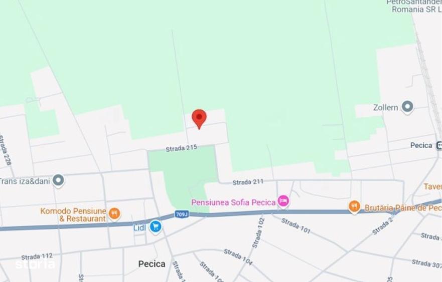 Cota 1/ 2 din casa si teren-loc. Pecica, jud. Arad - 3