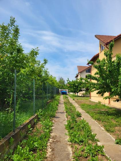 Ansamblu boutique cu 3 vile – libertate, spațiu și natură în Snagov - 7