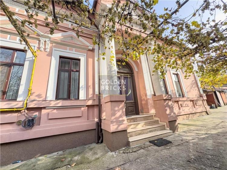 Pache Protopopescu | PROTV | Vizibilitate |  Curte 250 mp | Garaj - 2