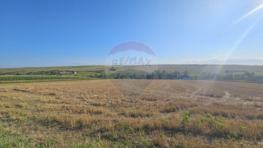 Teren Construcții intravilan de 7500 mp, în Moara Carp
