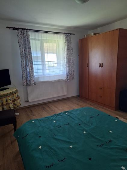 Gradistea, casa de vanzare - 9