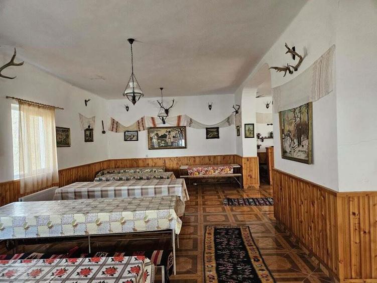 Vanzare amplasament industrial-servicii Tatarasti, Teleorman - 10