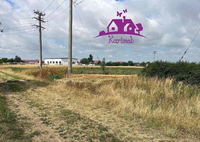 Teren la intrare in localitatea Gepiu - 5