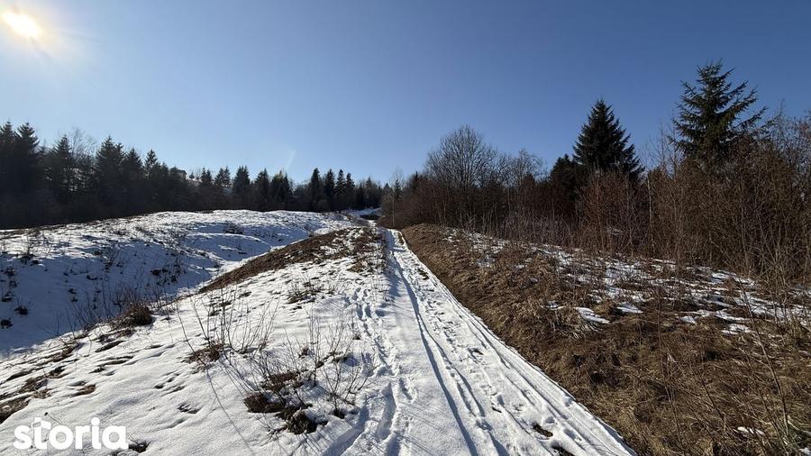 Teren extravilan 2.1 ha Salatruc, Vama - 1