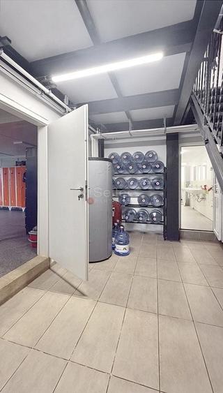 Spatiu Productie Logistica si Depozitare - 10