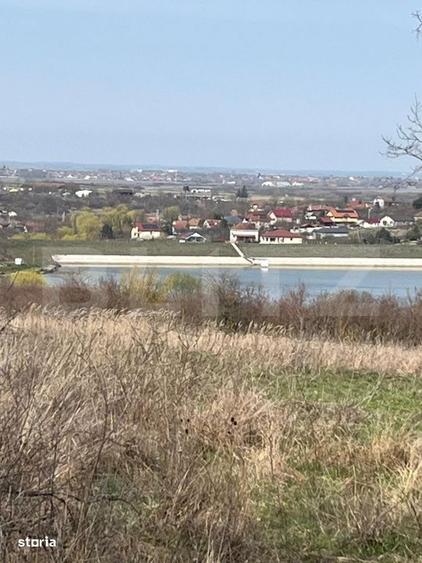 Teren intravilan de vanzare, 9783 mp, Paleu zona Iacului - 4