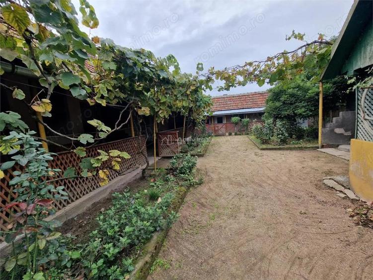 Sosdea 2 Case cu Teren 4657 Mp. - 2