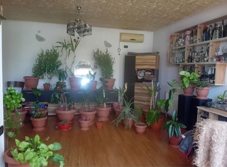 Casa de vanzare P+M cu garaj - 6