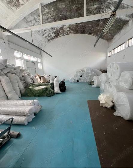 hala industriala de inchiriat in timisoara pe pestalozii - 10