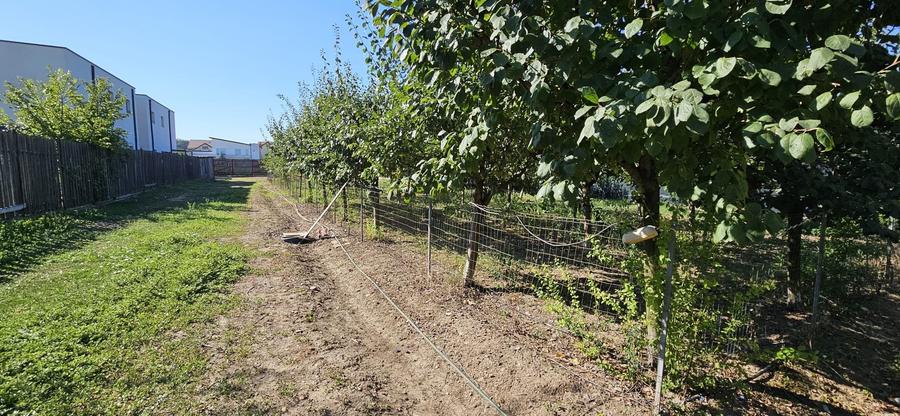 Teren de vanzare Corbeanca  Central. - 2