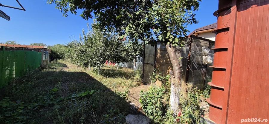 Vand casa tip container - 4