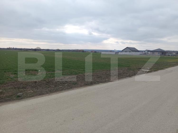 Teren 7.200 mp cu toate utilitatile la front asfaltat, Man. Jitianu, Braniste - 3