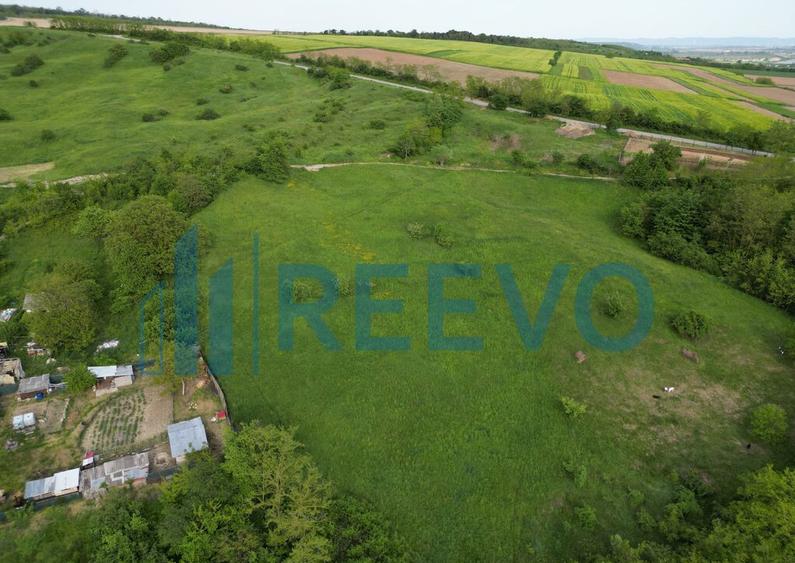 Teren de vanzare, Com. Racova, Str. Bradului, Bacau - 2