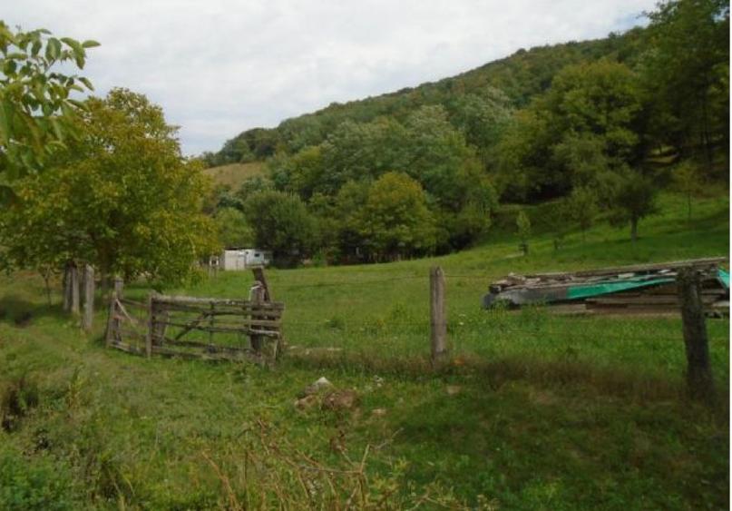 Teren extravilan-Loc. Roscani, comuna Dobra, judetul Hune... - 1