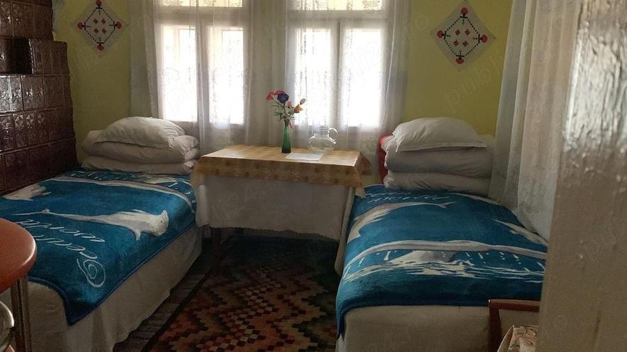 Proprietate 1,5 hectare la drum principal - casa si teren - 4
