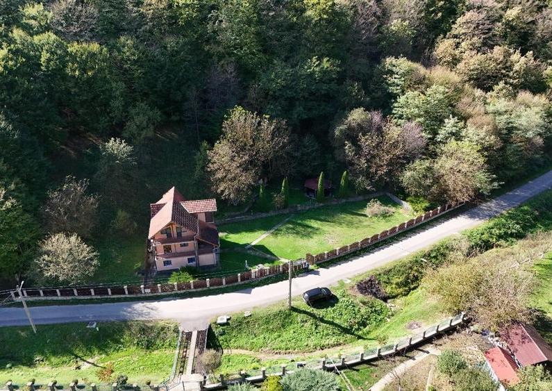 Vila Vetel zona Valea Caoi-OFERTA SPECIALA DE SARBATORI - 1