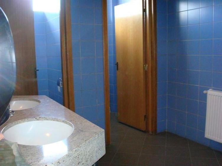 Spatii birouri, suprafata 350 mp - zona Progresul - 10