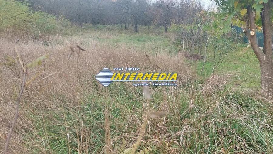 Teren Intravilan de vanzare 1000 mp Oarda - 3