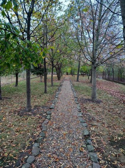 Casa de vanzare Gradiste - 7