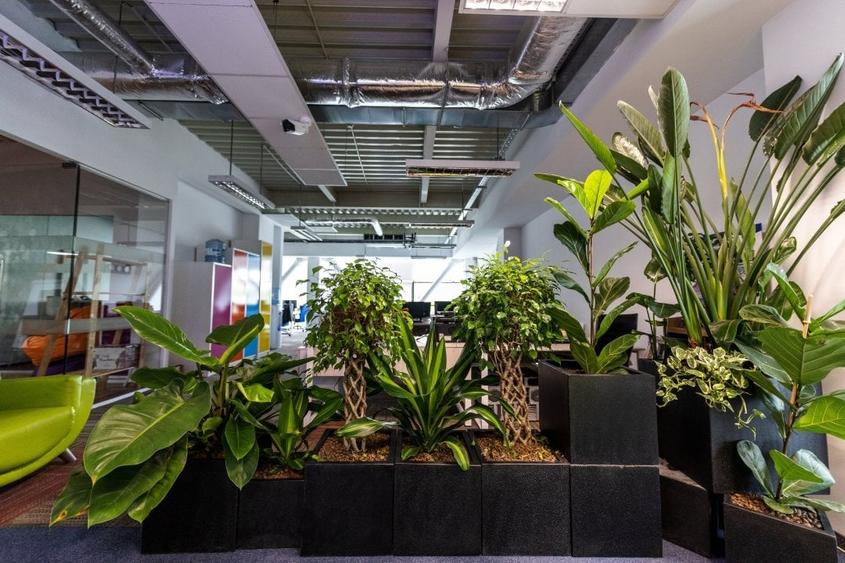 Spații de birouri clasa A de inchiriat, Pacurari, zona Mall Moldova- COMISION 0% - 8