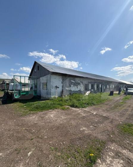 Hala Industriala 400 mp utili + 400 mp curte, JELNA - 2