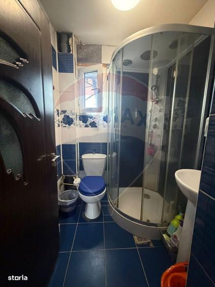 Casa P+E in zona Parcul Nicolae Romanescu, 450mp teren, 4 dormitoare - 10