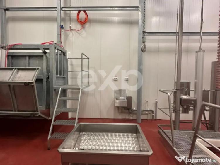 Black Angus Farm with authorized Slaughterhouse - 6