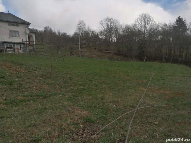 Casa si teren, Moisei - 6